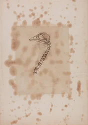 Vergleichende anatomische Darstellung der Struktur des menschlichen Körpers mit der eines Tigers und einer Kuh